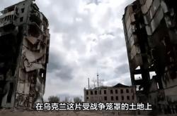 开云体育平台APP-乌克兰选手普洛科普乌克兰在拳击比赛中斩获金牌