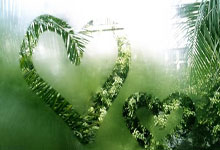 开云体育在线-马刺逆转国王，麦科勒姆状态火热