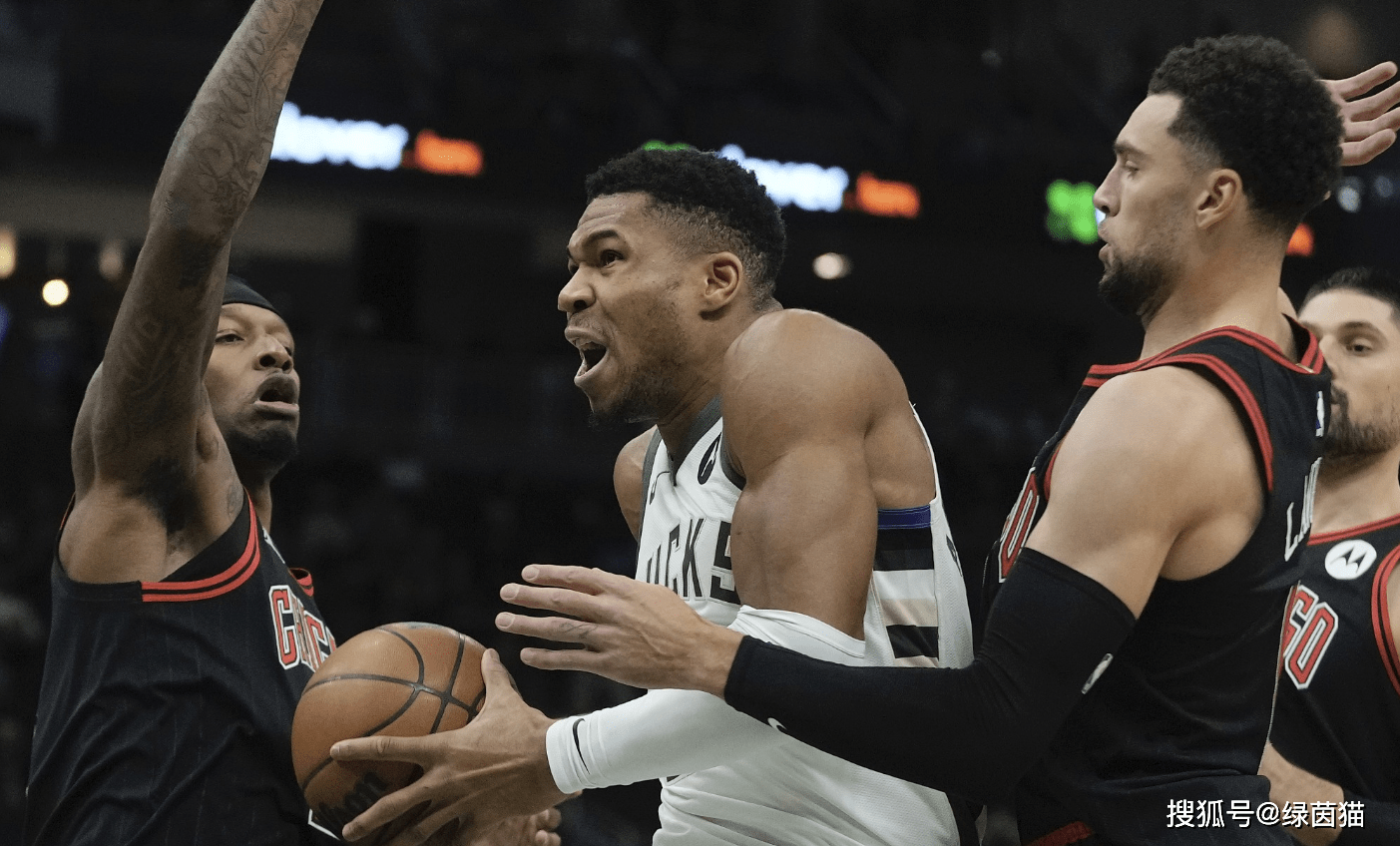 雄鹿力擒国王,字母哥奉献压哨绝杀 雄鹿力擒国王,字母哥奉献压哨绝杀